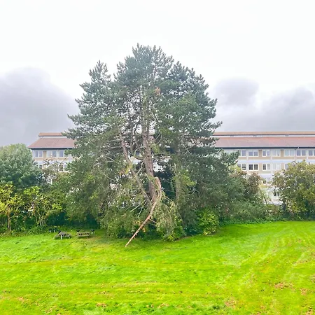 One Bedroom In Rdovre, Trnvej 41b, Apartment *
